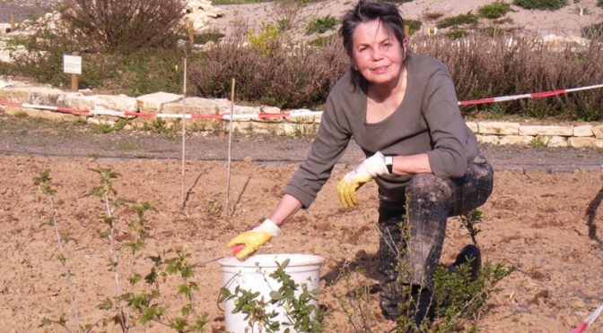 Hiltrud Trattner, eine verdiente Mitstreiterin für den Naturschaugarten Lindenmühle, ist Anfang Nov. 2018 verstorben