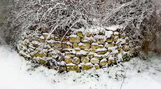 Trockenmauer im Schnee