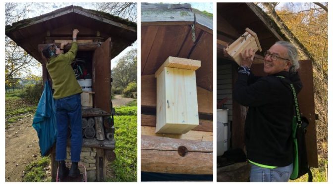 Zur Untermiete bei Wildbienen