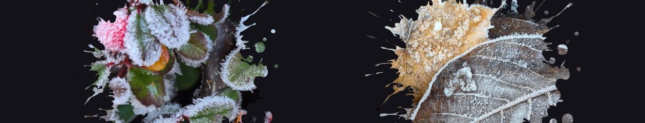 Arbeitskreis Naturnahes Grün – Naturschaugarten Lindenmühle