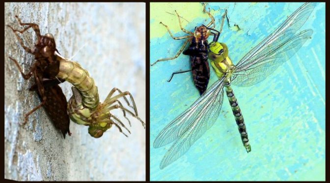 Wenn es zu eng wird!