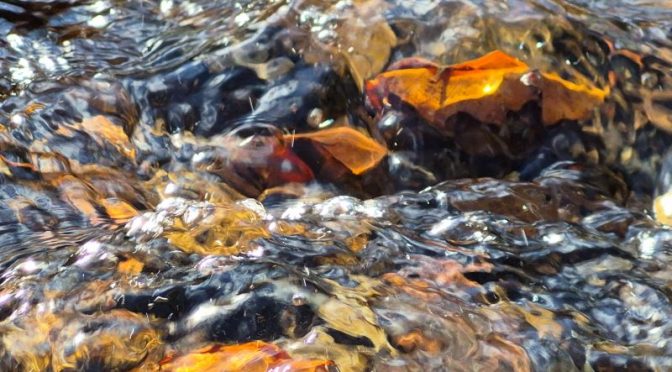 Weltwassertag – worum geht’s?