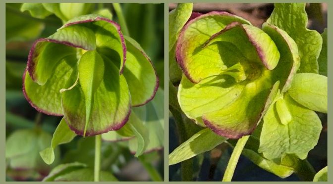 „Stinkt“ ihm das?