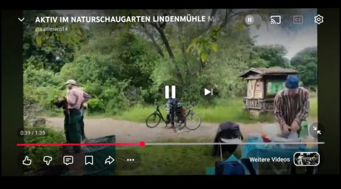 Film Aktiv NaSchau