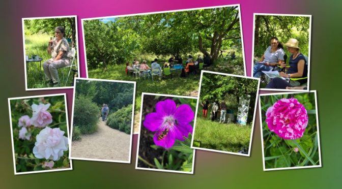 Tag der Offenen Höfe und Gärten in Bretzenheim – Besuch im NaSchau
