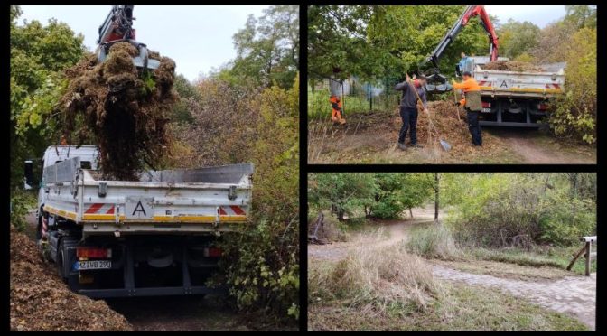 Naturschaugartens neue Frisur